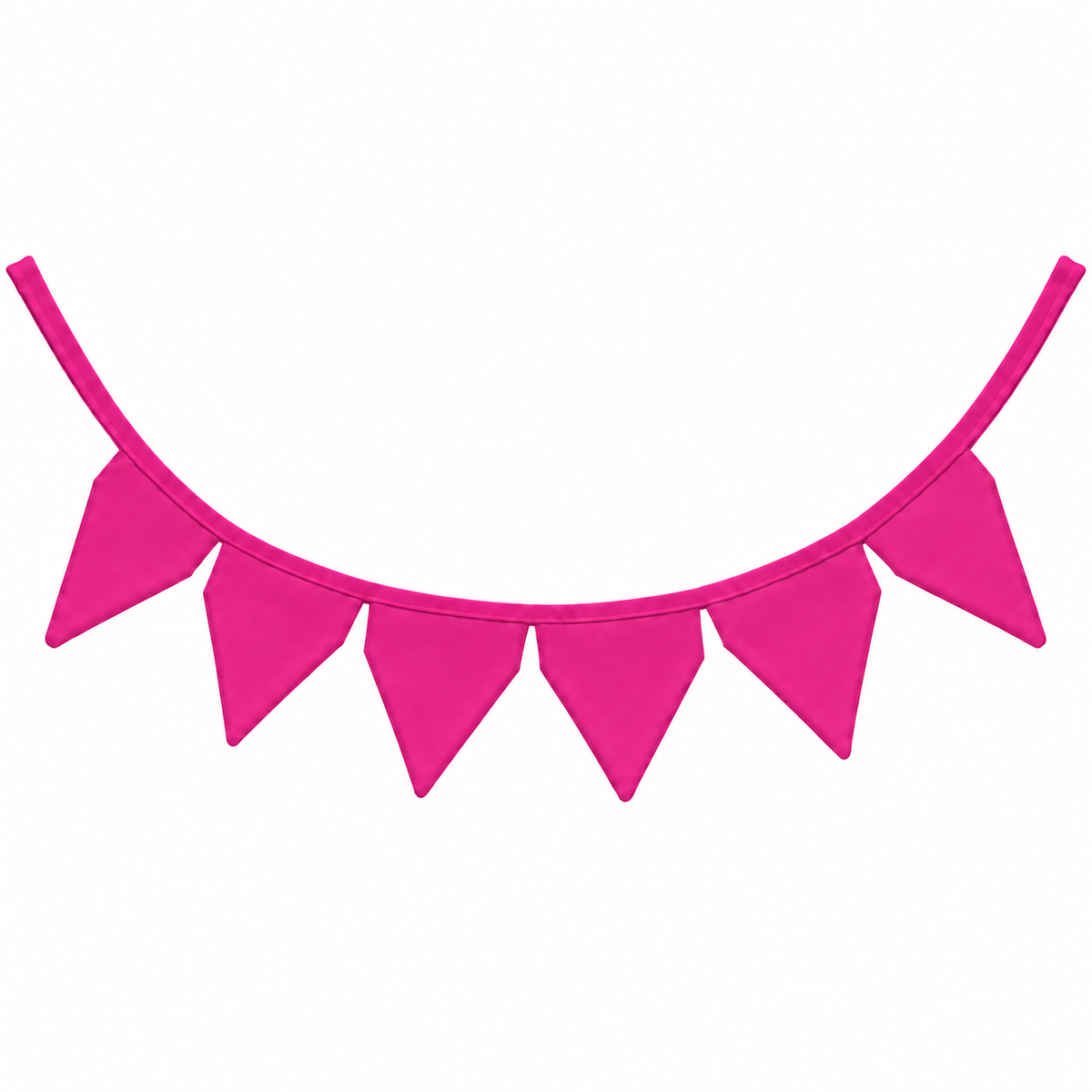 Bandeirinhas Decorativas 2,10m Pink