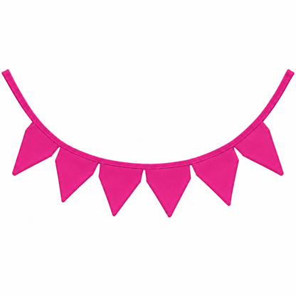 Bandeirinhas Decorativas 2,10m Pink