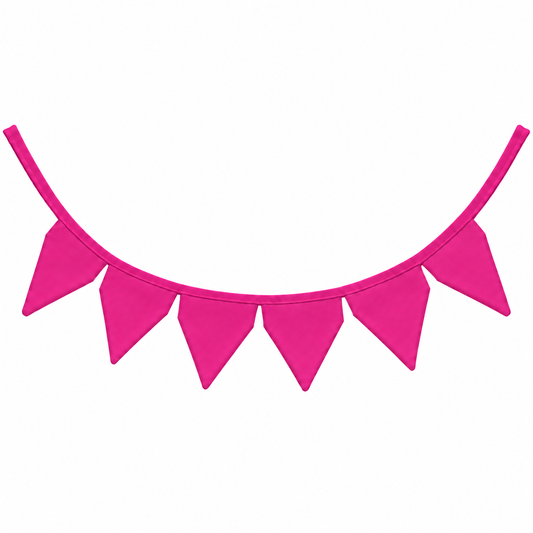 Bandeirinhas Decorativas 2,10m Pink